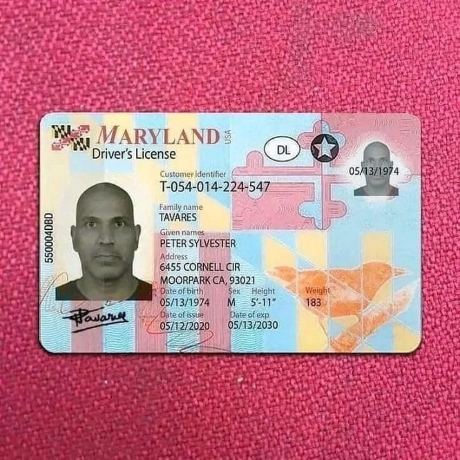 Buy Maryland Driver License and ID Card