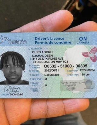 Fake Driver License